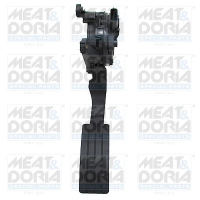 Accelerator Pedal Unit